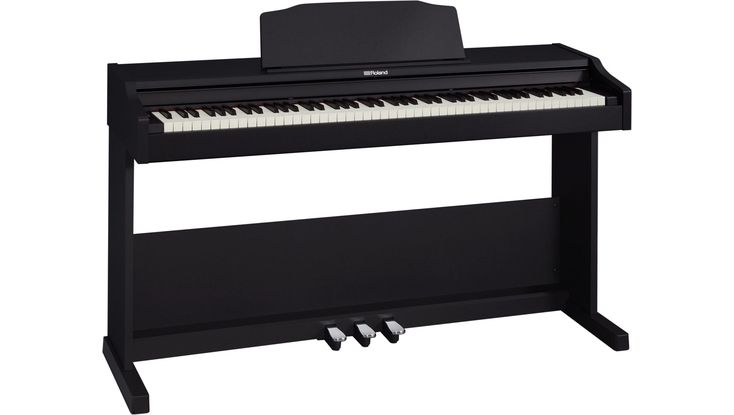 Roland RP-102