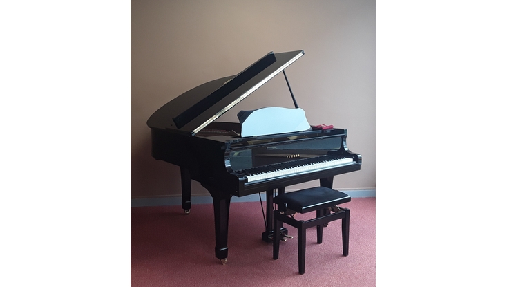 Yamaha G2