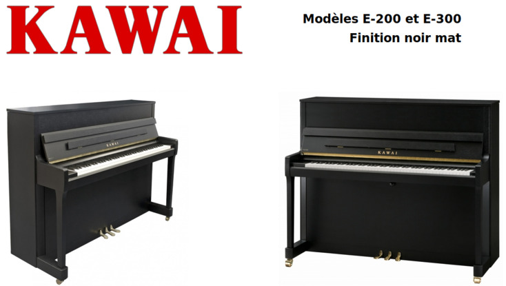 Kawai E-200 et E-300