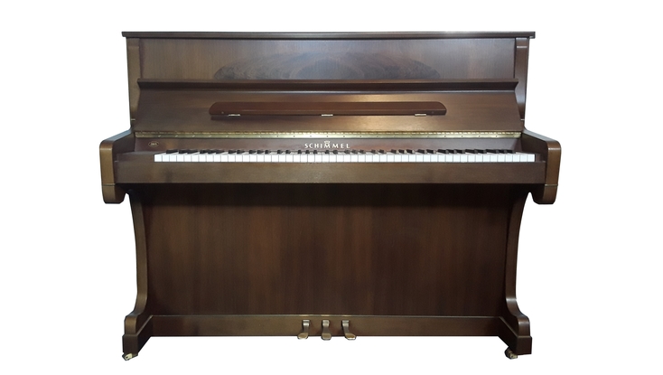 Schimmel 120